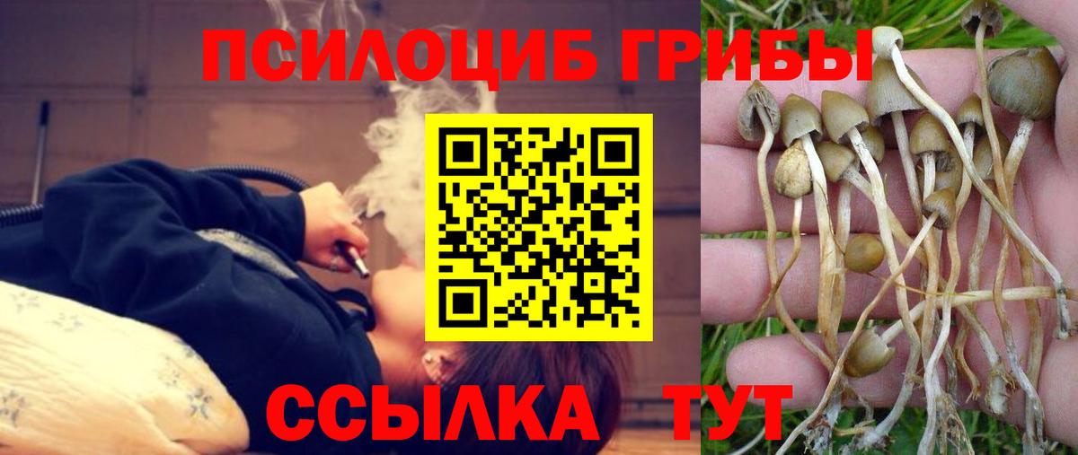 Галлюциногенные грибы MAGIC MUSHROOMS  Вход с VPN  Кизляр 